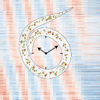 Grosshans Lab (@labgrosshans) 's Twitter Profile