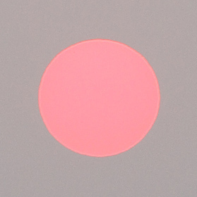 noahsheldon's profile picture. 