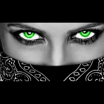 Scoobydoo812's profile picture. 🇲🇽 🇫_🇺_🇨_🇰🖕🏽 🇹_🇷_🇺_🇲_🇵 🇺🇲