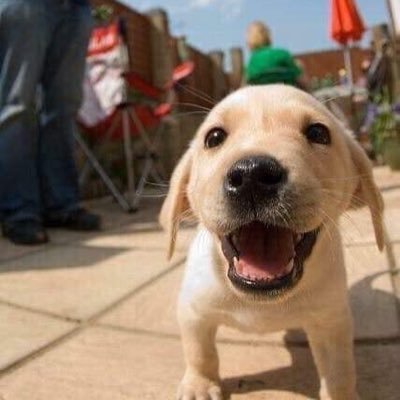 Oriole_K's profile picture. Waves Exchange: 3P89LbzjmTQRTyJeJ6zCZr1Z6MYP4STGdDi
LPSJNRM2