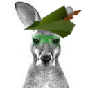 RobinhoodtaxAU's profile picture. Ned has joined Robin Hood on a mission to raise billions of dollars each year to do good in Australia and overseas, through a tiny tax on speculation.
