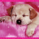 jennifer wenceslao - @jen_wenz19 - Twitter