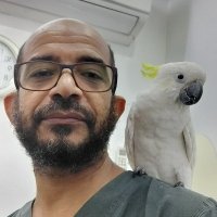 Barri Hamid (@barrihamid1) 's Twitter Profile