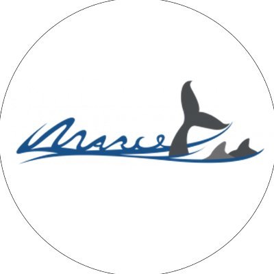 Proyecto INTERREG MARCET II (MAC2/4.6c/392): Fomento de la actividad ecoturística de observación de cetáceos como modelo de desarrollo económico sostenible