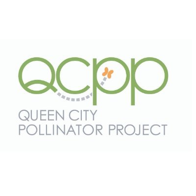 Pollinator conservation and education non profit created out of friendship and a wonder for the world of pollinators!