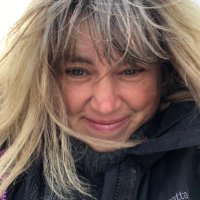 Andie Harris (@andieaha) 's Twitter Profile