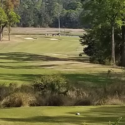 CurtKidd4's profile picture. Common sense