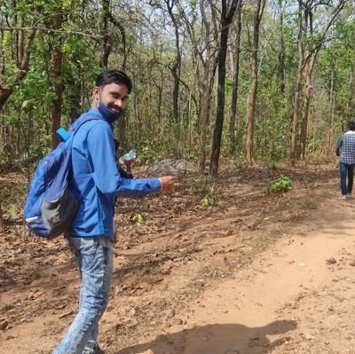 मै छत्तीसगढ़ के बस्तर में पाया जाता हूँ , उस राज्य का स्वतंत्र पत्रकार हूँ जहा कई पत्रकारों की हत्या हो चुकी है , लिखने के कारण सालखो के पीछे जाना पड़ा है।
