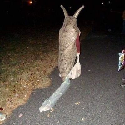 dostoevskunt's profile picture. think about 👨‍🦳others👨‍🦲 be different ✌dare 🙏 too much 💣 trust the plan 🥸 evolve past your limits 👿