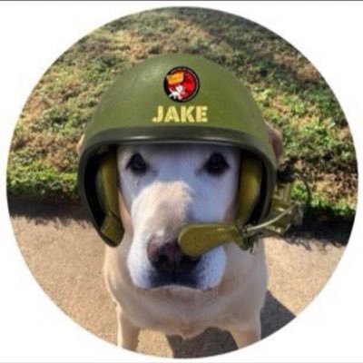 jake_thelab Profile Picture