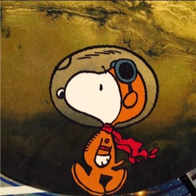 猫好き星空案内人(星のソムリエ®)☆*:.。ですが…星や宇宙の話を