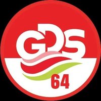 GDS64(@GDS642) 's Twitter Profile Photo