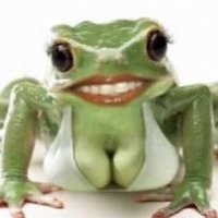 sapy leão sayeg (@sapeituda) 's Twitter Profile