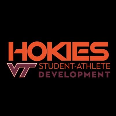 VTSADevelopment Profile Picture