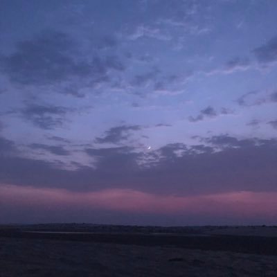 Nada31ahmed's profile picture. -Orchids.