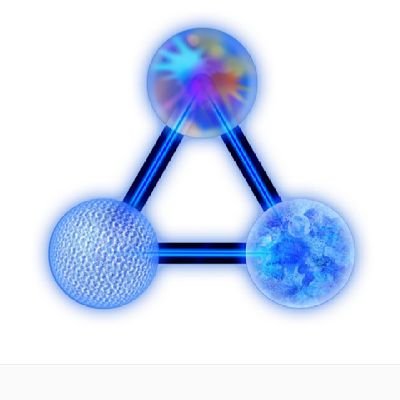 Asymmetric Disclosure (2025) : https://t.co/JtspGsCYkM
