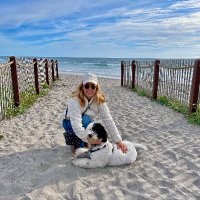 Paula Johns (@paulajohns) 's Twitter Profile
