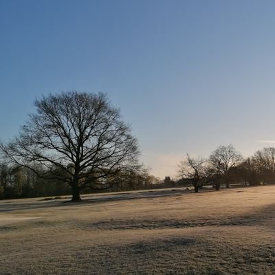 Head Greenkeeper Newton green golf club, follower of ITFC, proud husband and owner of Dougal the cockapoo.