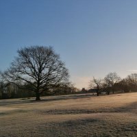 Martin Brightwell (@martin_b1974) 's Twitter Profile