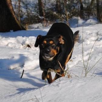 FaustoMagagnini's profile picture. la libertà