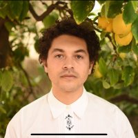 Mirror Tree (@mirror_tree) 's Twitter Profile