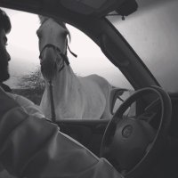 A✨ (@__aa73) Twitter profile photo