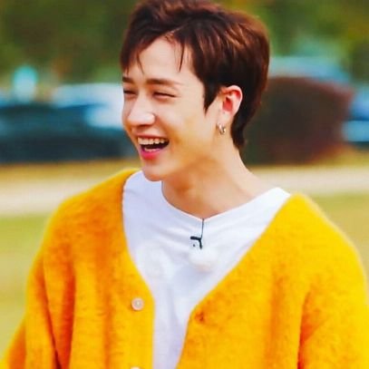SKZ | Chris soulmate | 🌻 | Chanlix 💗💌 | a flower girl in love with a sunny boy ☀️