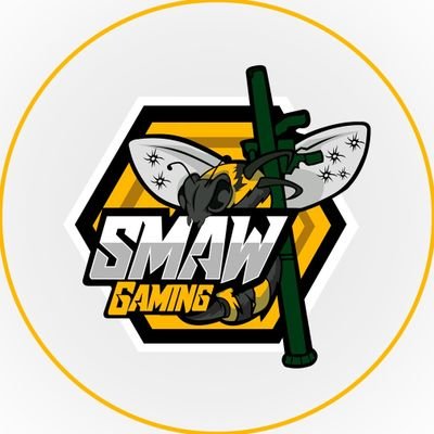 Organização de eSports que atua em Call of Duty Warzone & Rainbow Six Siege. #GoSMAW #GoBee💛🐝 ✍ smawgaming@hotmail.com