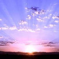 Patrizia (@patrizi85246848) 's Twitter Profile