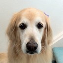 Lisa Cogar - @Spamish09 - Twitter