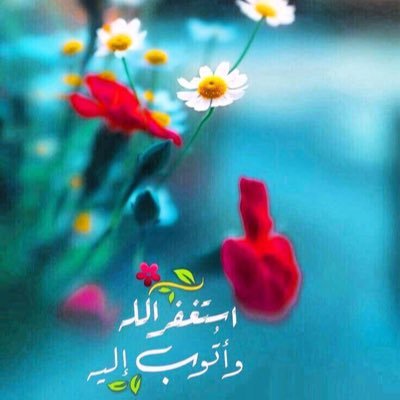 alotaibi1aa's profile picture. 