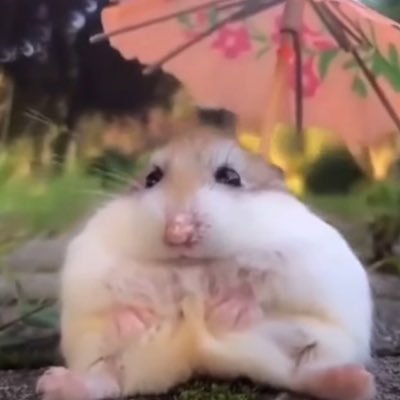 p1ts4's profile picture. 