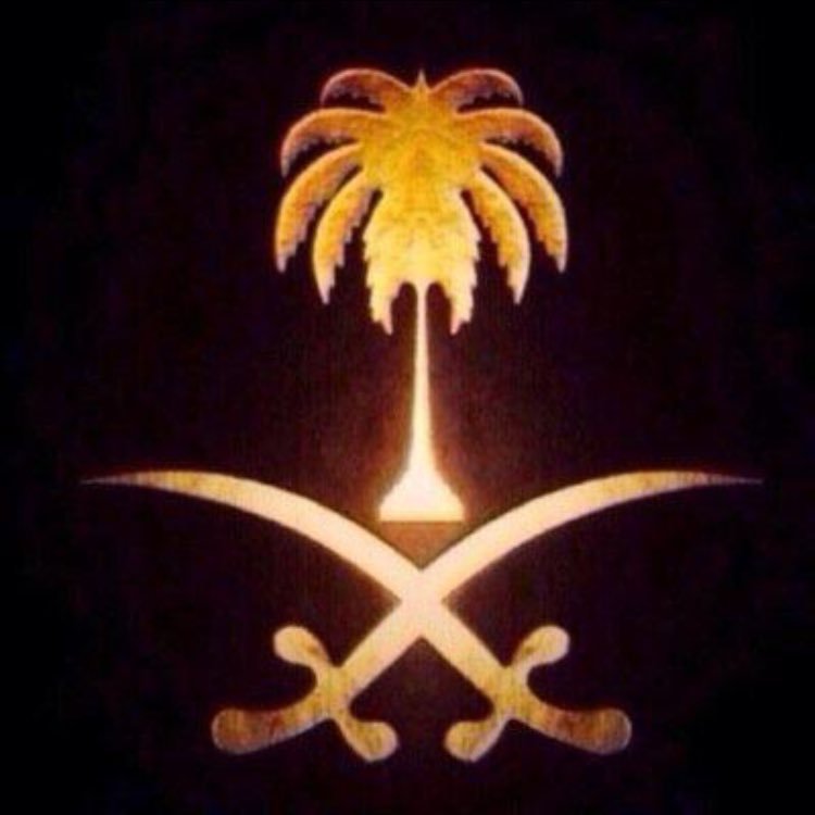 موظف stc & ماجستير هندسة& كـ زخآتُ المَطّر سـ تُمطِّـر يَوماً آمانيِنـآ..!