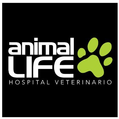 hospanimallife Profile Picture