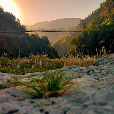 READLEARN8's profile picture. i am use tiktok and instagram