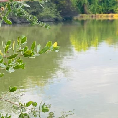 Naasyh's profile picture. 