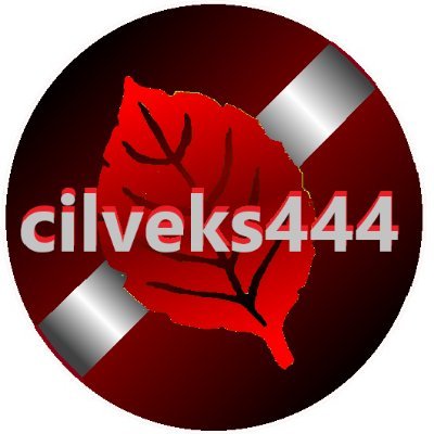 Politikas vērotājs, nereti skarbs un tiešs izteikumos. Mīlu Latviju, gribu to redzēt brīvu un svabadu, uzskatu - Atmodas laiku ideāli šodien ir nodoti.