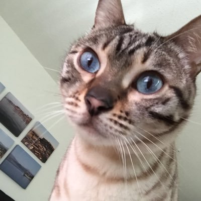 CassieVanderzee's profile picture. Designer 🏡 Adventurer & Explorer 🧗🏼‍♀️🎿✈️ Vegetarian 🥗 She/Her 💁🏼‍♀️