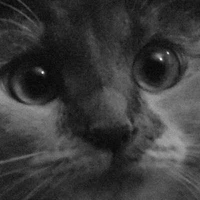 TinyIris13's profile picture. love all animals, love drawing and crochet help to calm my mind. Trying to spread a little kindness and smiles. #art, #drawing,  #creative,#positivity