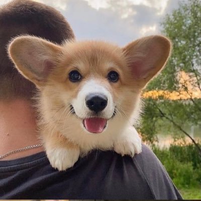 ruiqi918's profile picture. BTC ETH DOGE 持有者/加密货币投资者
记录个人投资经历和人生感悟。
//没有建群,不主动私信人,谨防骗子 | 投资有风险