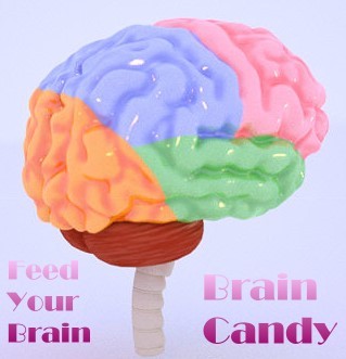 Brain Candy Mind Pro Stuff to feed the brain