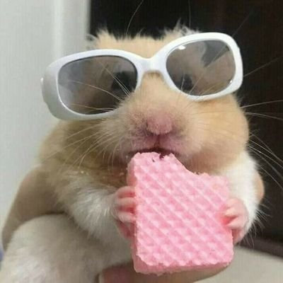 Mayy05_pz's profile picture. ☁️