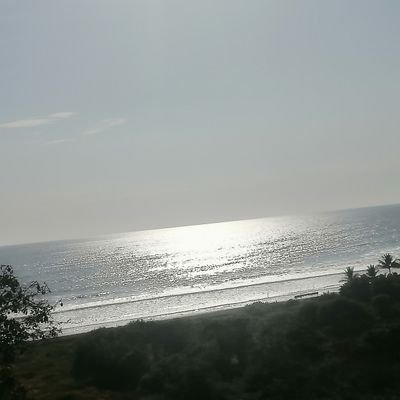 JoNoBx1's profile picture. Mmmmm Nose