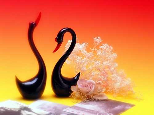 karibk7's profile picture. 