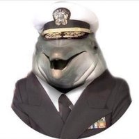 Anonymous | دُولْـفـيـن 🐬 (@iianonyme) 's Twitter Profile Photo