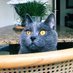 Bulle21 (@bulle2128) Twitter profile photo Bulle21 (@bulle2128) Twitter profile photo