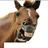 kubzo's profile image