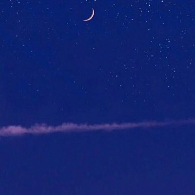 YLPKcnhv6PZQhM9's profile picture. Stay hungry stay foolish