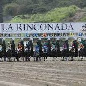 hipismo y deportes