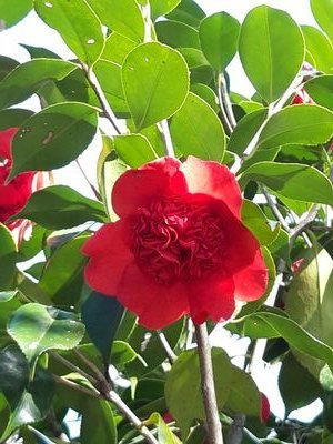 9RgSoql0H1nYV4m's profile picture. 내일도태양은뜬다